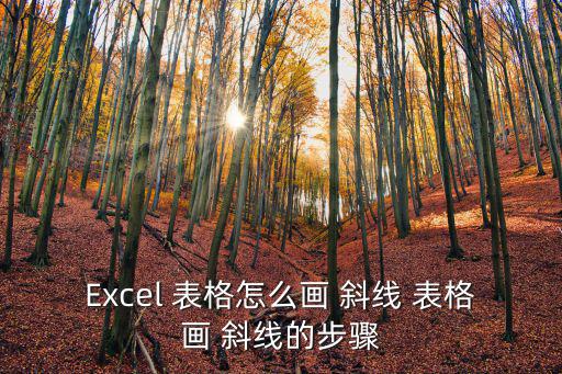 Excel 表格怎么畫 斜線 表格畫 斜線的步驟