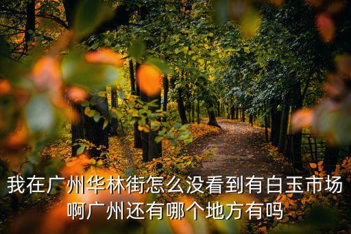 廣州華林玉石批發市場市場，我在廣州華林街怎么沒看到有白玉市場啊廣州還有哪個地方有嗎