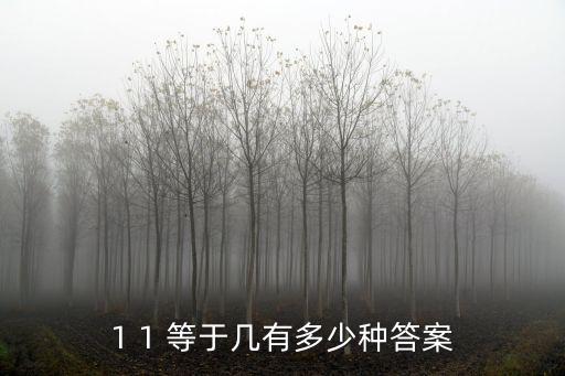 1 1 等于幾有多少種答案