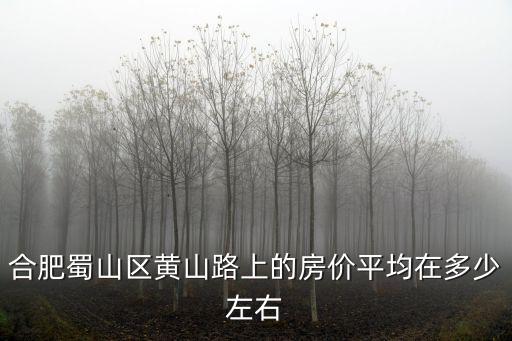 合肥蜀山區(qū)黃山路上的房價(jià)平均在多少左右