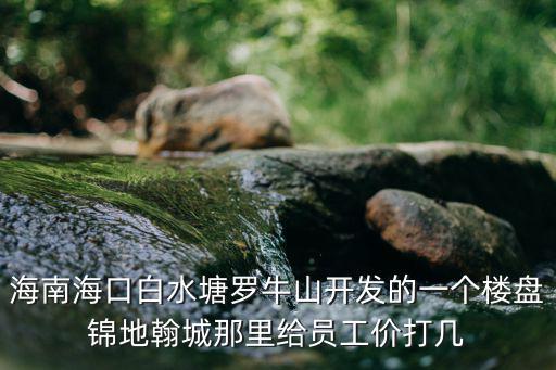 海南海口白水塘羅牛山開發(fā)的一個樓盤錦地翰城那里給員工價打幾
