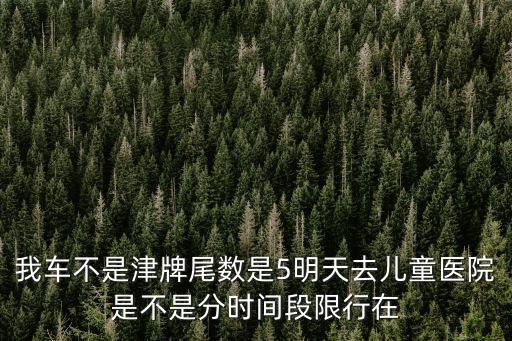 我車不是津牌尾數(shù)是5明天去兒童醫(yī)院是不是分時(shí)間段限行在