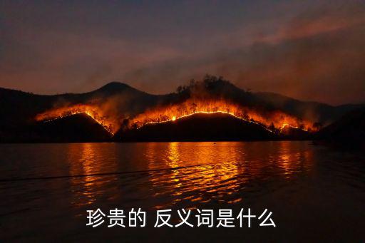 珍貴的 反義詞是什么