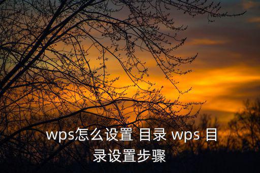 wps怎么插入目錄,如何導(dǎo)航到武漢武漢中醫(yī)院?
