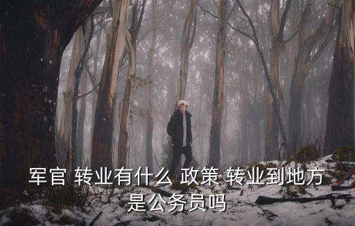 軍官 轉(zhuǎn)業(yè)有什么 政策 轉(zhuǎn)業(yè)到地方是公務(wù)員嗎