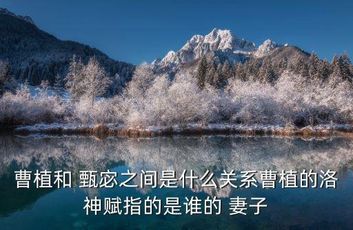甄宓是誰的妻子,魏氏娶曹丕的時(shí)候曹丕還年輕