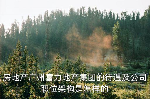 房地產廣州富力地產集團的待遇及公司職位架構是怎樣的