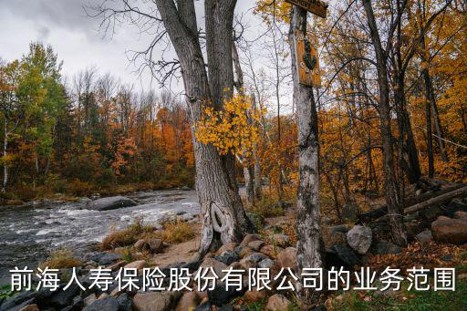 前海人壽保險股份有限公司的業(yè)務(wù)范圍