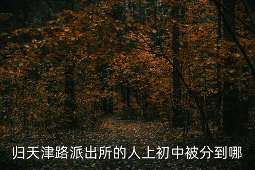 歸天津路派出所的人上初中被分到哪