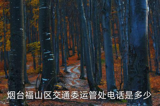 煙臺福山區交通委運管處電話是多少