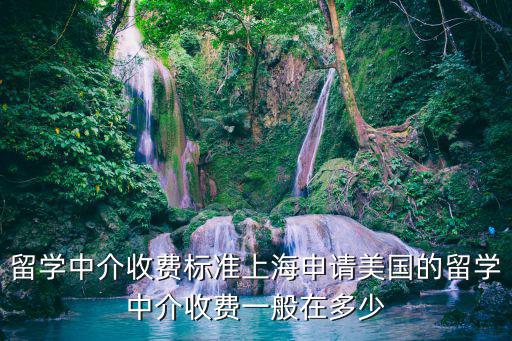 留學(xué)中介收費標(biāo)準(zhǔn)上海申請美國的留學(xué)中介收費一般在多少