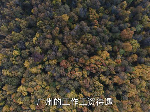 廣州的工作工資待遇