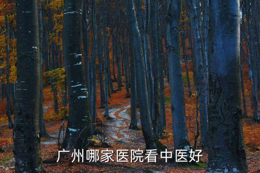 廣州哪家醫院看中醫好