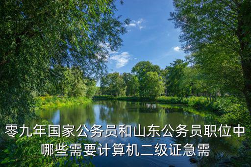 零九年國家公務員和山東公務員職位中哪些需要計算機二級證急需