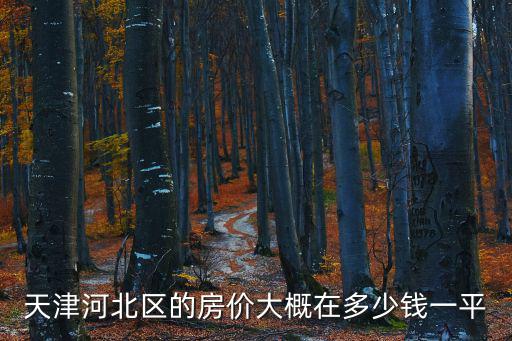天津河北區的房價大概在多少錢一平