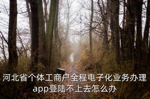 河北省個體工商戶全程電子化業務辦理app登陸不上去怎么辦