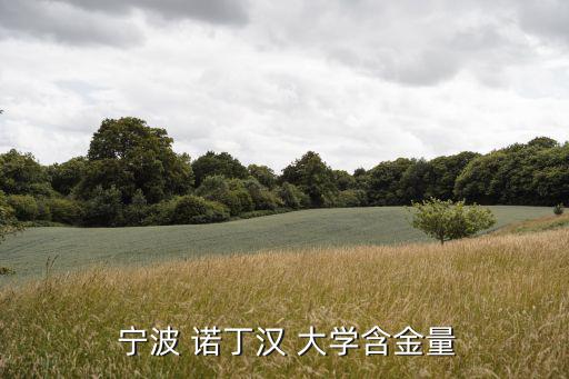 寧波諾丁漢大學(xué)分?jǐn)?shù)線,諾丁漢寧波大學(xué)在中國(guó)排名第2名