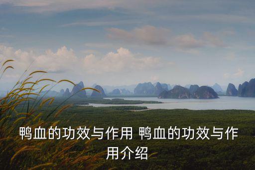  鴨血的功效與作用 鴨血的功效與作用介紹