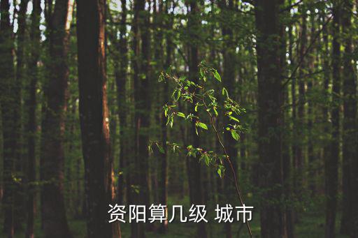  資陽算幾級 城市