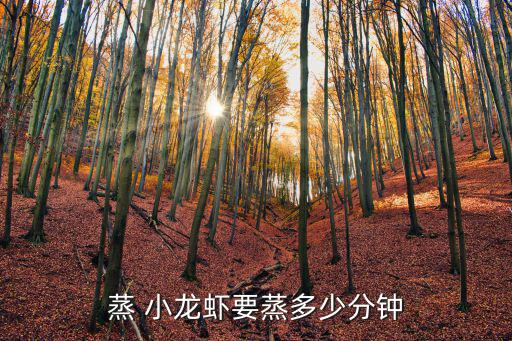 蒸 小龍蝦要蒸多少分鐘