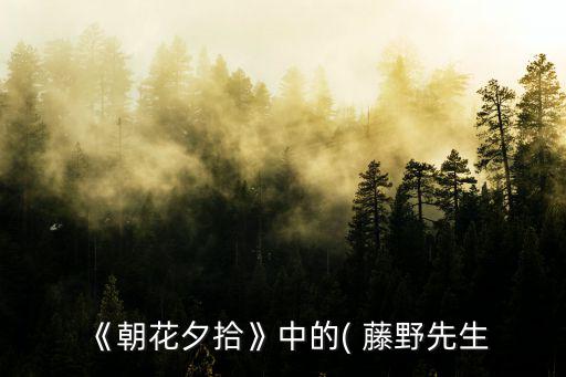 藤野先生的讀后感,魯迅先生愛(ài)國(guó)精神影響了魯迅