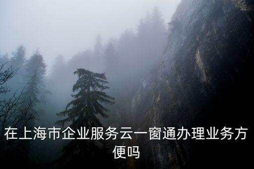 在上海市企業服務云一窗通辦理業務方便嗎