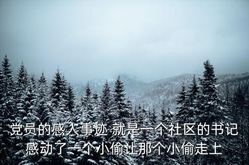 黨員的感人事跡 就是一個社區的書記感動了一個小偷讓那個小偷走上
