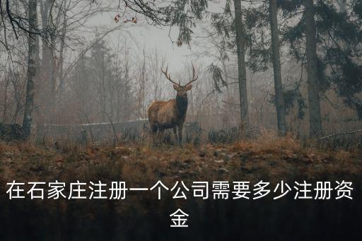 石家莊注冊公司流程及費用標準，石家莊注冊公司流程及大致費用