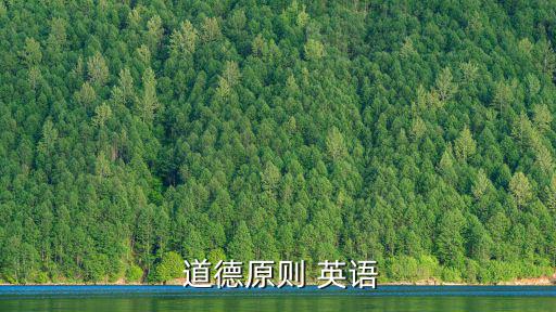 道德的英語,科爾伯格:正義原則是最高道德原則引導和法治作用