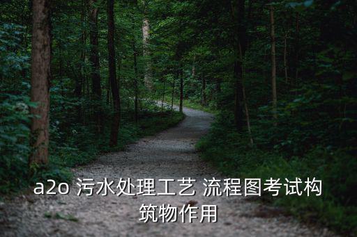 a2o 污水處理工藝 流程圖考試構筑物作用
