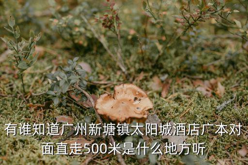 有誰知道廣州新塘鎮(zhèn)太陽城酒店廣本對(duì)面直走500米是什么地方聽