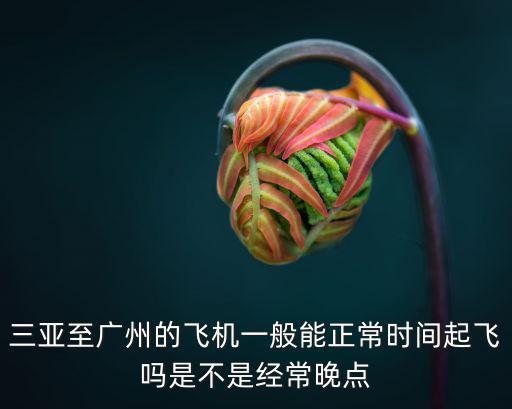海南飛廣州航班晚點，海南三亞至廣州航班幾時起飛