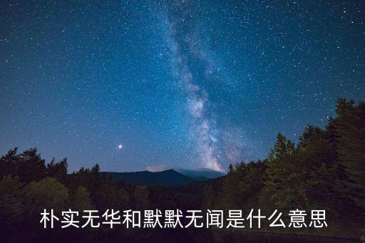  樸實無華和默默無聞是什么意思