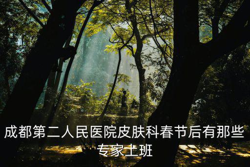 成都市第二人民醫院皮膚科專家門診，成都市第二人民醫院 皮膚科
