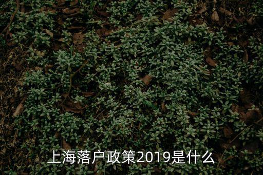 上海市隨遷落戶政策，了解上海戶籍政策的幫一下外地孩子隨父遷入上海