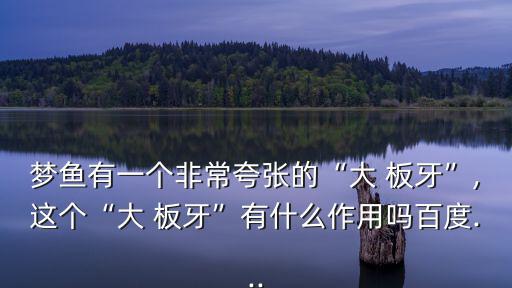 大板牙,六個關鍵詞:你準備好了嗎?