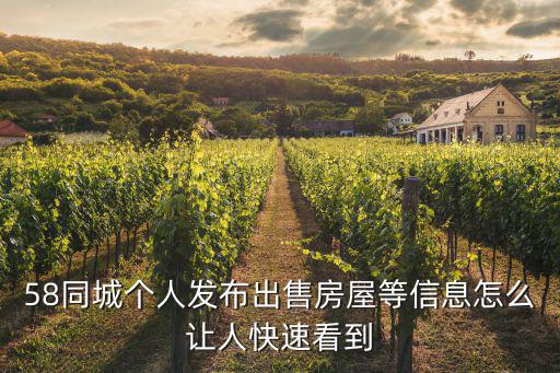 58同城個人發布出售房屋等信息怎么讓人快速看到
