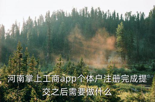 河南掌上工商登記注冊，河南掌上工商認證一直失敗注冊都注冊不上顯示國辦返回信息認