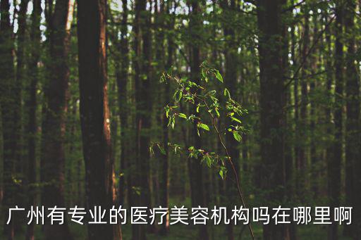 廣州有專業(yè)的醫(yī)療美容機(jī)構(gòu)嗎在哪里啊