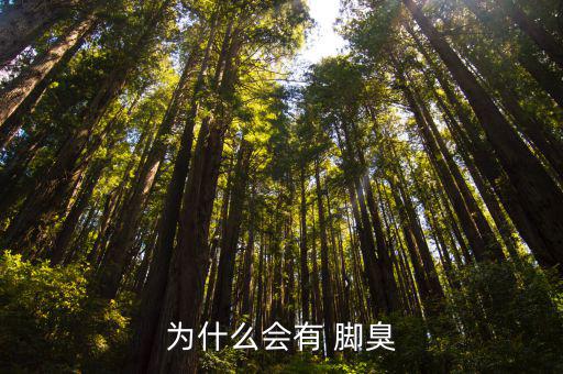 為什么會有 腳臭