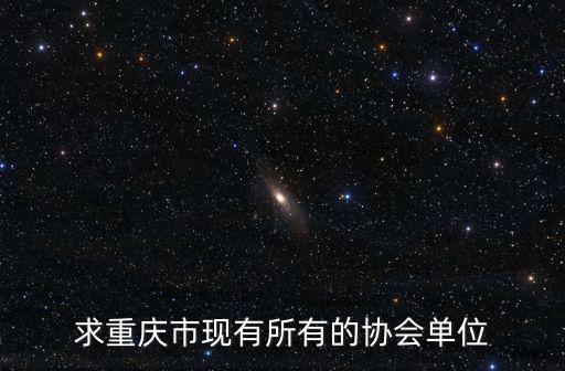 求重慶市現有所有的協會單位