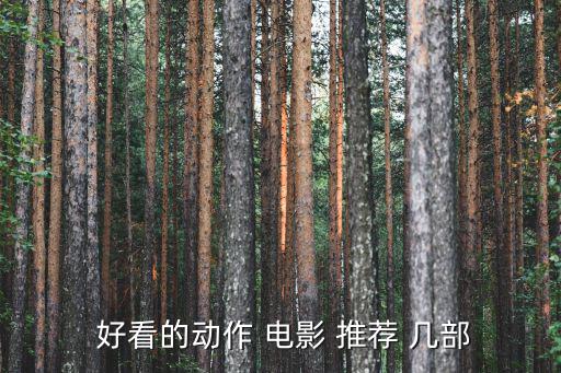 推薦幾部好看的電影,《魂與骨》第四部電影展現mma主題