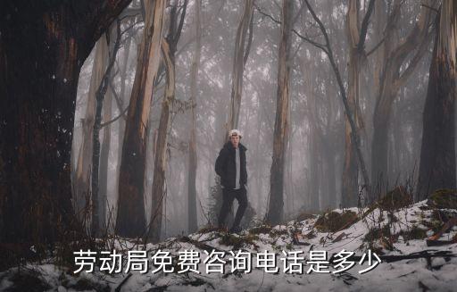 勞動局咨詢電話是多少，勞動局的電話是多少