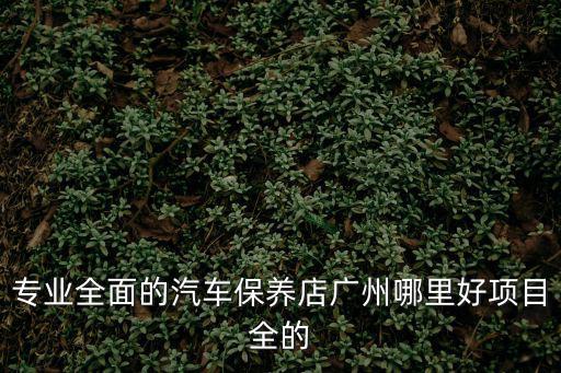 專業全面的汽車保養店廣州哪里好項目全的