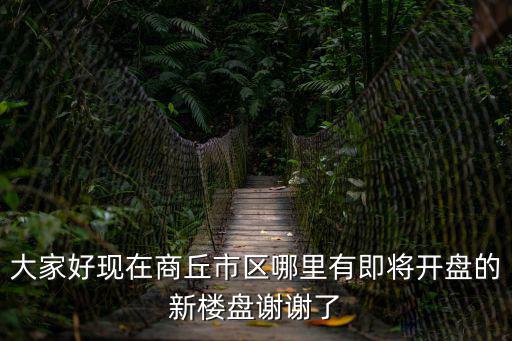 大家好現在商丘市區哪里有即將開盤的新樓盤謝謝了