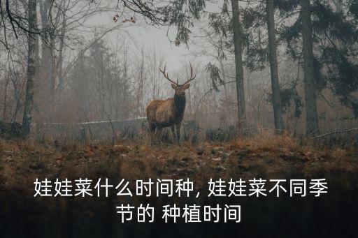  娃娃菜什么時間種, 娃娃菜不同季節的 種植時間