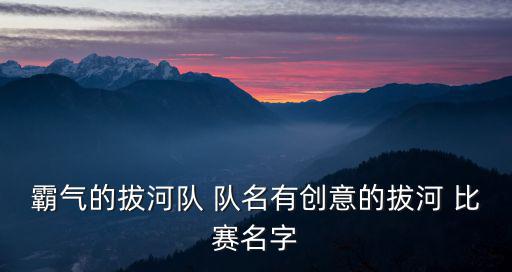 比賽隊名,我國羽毛球男隊名單出爐!