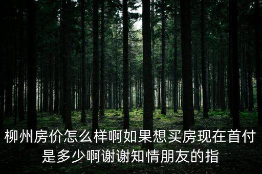 柳州的最新房?jī)r(jià)如何計(jì)算，請(qǐng)問(wèn)現(xiàn)在在柳州做個(gè)房子大概要多少錢(qián)