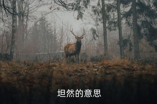  坦然的意思
