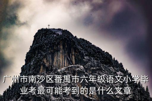 廣州市南沙區番禺市六年級語文小學畢業考最可能考到的是什么文章
